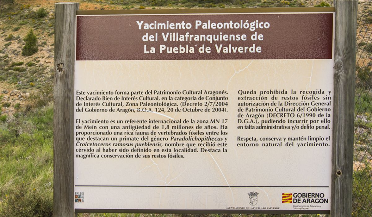 La Puebla de Valverde - YACIMIENTO PALEONTOLÓGICO